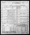 1950 United States Federal Census