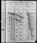 1880 United States Federal Census