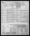 1950 United States Federal Census