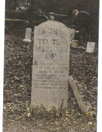 Abraham Milton Bellamy Alto, Florida grave sites