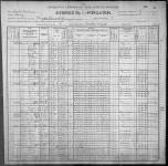 1900 United States Federal Census