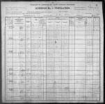 1900 United States Federal Census