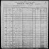 1900 United States Federal Census