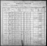 1900 United States Federal Census