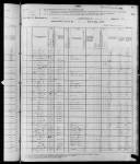 1880 United States Federal Census