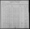 1900 United States Federal Census