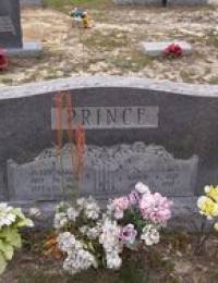 Julia E Gore-Prince(1879-1960)Find A Grave Memorial# 61718891 &amp; Husband Dr John O. Prince (1875 - 1930)