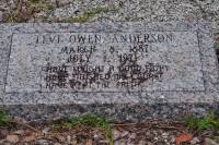 Anderson, Levi Owen Grave Marker