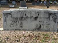 Pinkney Todd headstone