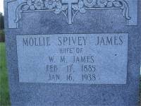Mollie Spivey James Headstone