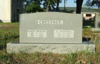 Chestnut - Gladys McDaniel - Davis Marshall - Centenary United Methodist Church Cemetery