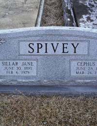 Monument for Silllar Jane and Cephus Spivey