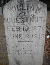 William T Chestnut