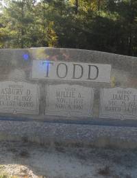 Asbury Daniel ( A. D.) Todd , James T. Todd and Millie A. Todd --- Headstone