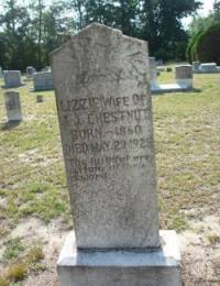 Lizzie Milligan 1860-1925 headstone