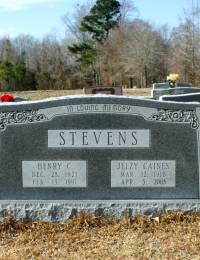 Gravestone of Henry &amp; Jelzy (Caines) Stevens