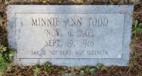 Minnie Ann Todd Todd