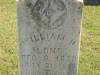 William H Long 1833 - 1918 Bellamy Cemetery