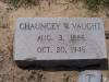 Chauncey Willard Vaught 1886 - 1946 Buck Creek Cem