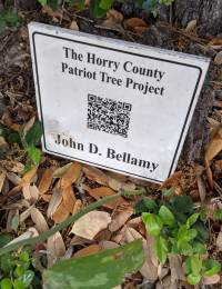 Pvt. John Dillard Bellamy Patriot Tree marker