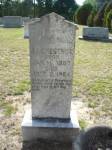 Jesse James Chestnut headstone