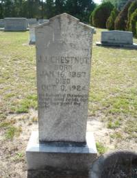 Jesse James Chestnut headstone