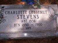 Charlotte Chestnut Stevens Tombstone