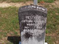 William Luther Hardee 1862 - 1936 Buck Creek Cemetery