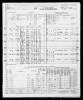 1950 United States Federal Census