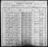 1900 United States Federal Census