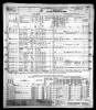 1950 United States Federal Census