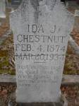 Ida J Chestnut