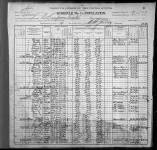 1900 United States Federal Census